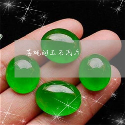 從“蒼蠅翅”到生態警示 翡翠光澤與粘蠅帶的現實分野