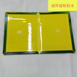 外貿品質｜厚硬紙板粘鼠板、老鼠貼、撲鼠器、蟑螂屋可貼牌定做，助力全球蟲害防治首選